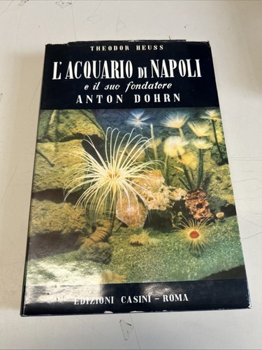 Acquario napoli il - l'acquario, di