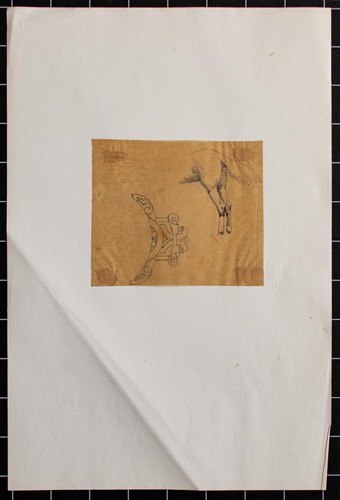Theodor volmar cavallo - volmar, studio